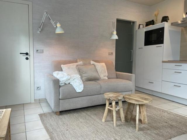 Au Coeur La Roche Studio Eksteriør billede